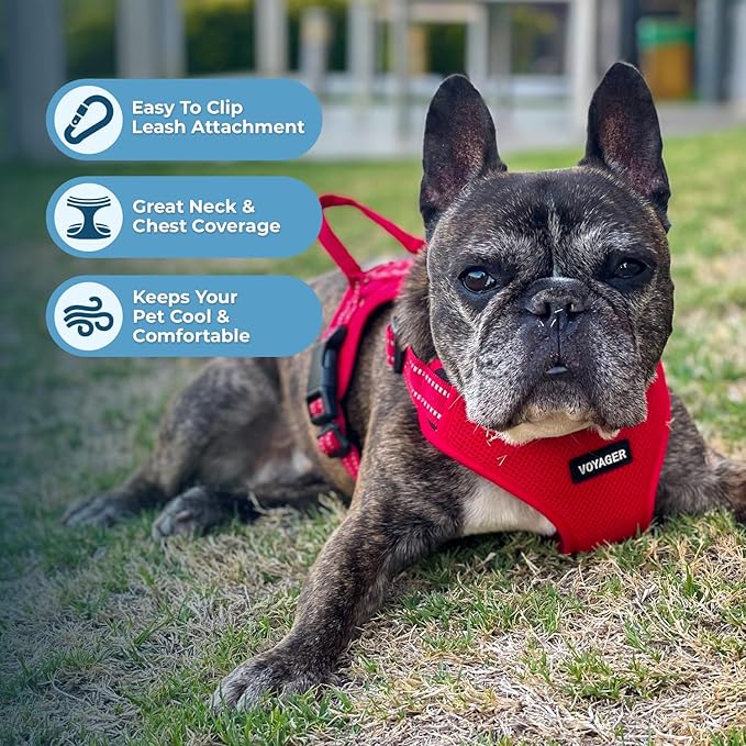 Best Pet Supplies Voyager Mesh Dog Breathable Harness Reflective Stitching, All Weather Adjustable for Walking Training, or Running - Heavy Duty & Durable, Harness Leash Set (Red), S