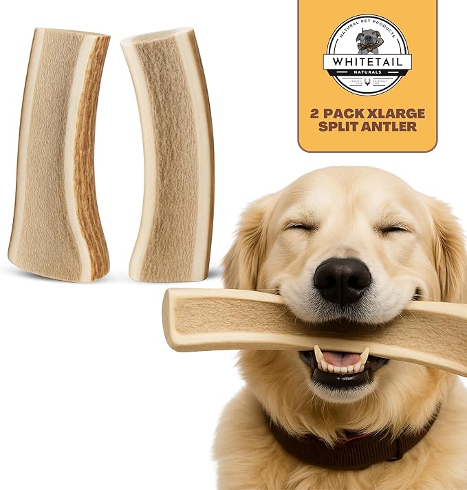 WhiteTail Naturals - (2 Pack- Extra Large - Split Elk Antlers for Large Dogs (XL) - Antler Dog Chews - Naturally Shed, Elk Horn Chew Bone for Aggressive Chewers