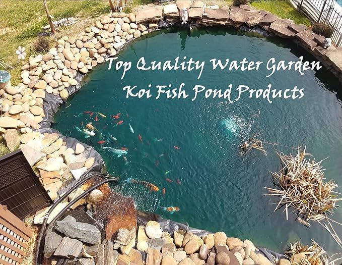 Double Chamber Fine Net Aquarium Breeder & Isolation Tank 10 Inches Long, Aquatic Fish Breeding Box, Fry Isolation Box, Hatching Box, Juvenile Spawning Incubator