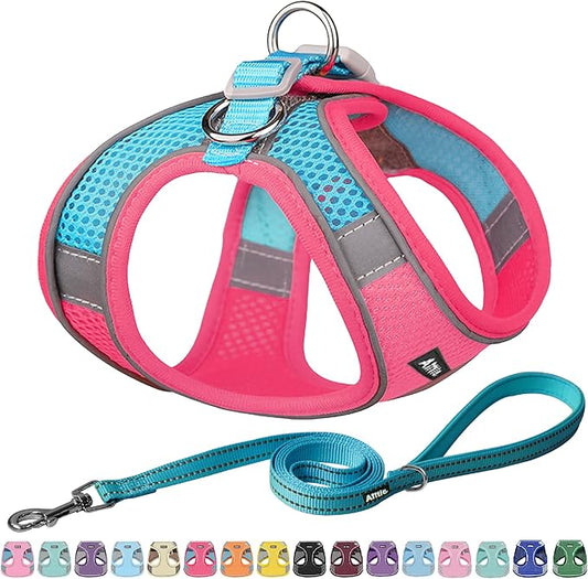 AIITLE Escape Proof Dog Harness - Step in Adjustable Dog Harness No Choke Over with Breathable Mesh and Quick-Release Buckle for Summer- Outdoor Walking, Camping, Training for Medium Dogs Hot Pink XL