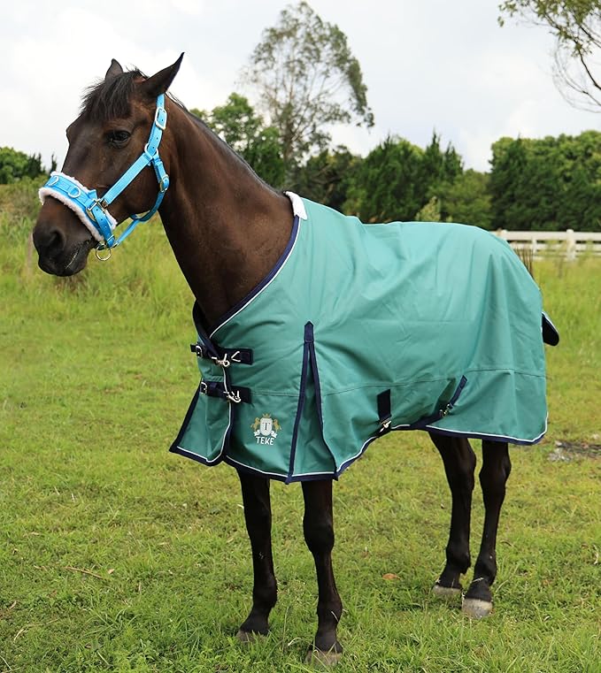 T TEKE Deluxe Turnout Horse Sheets, 1200D Waterproof and Breathable Horse Care Sheets with no Filling (51"-87" Including Miniature/foal Size)