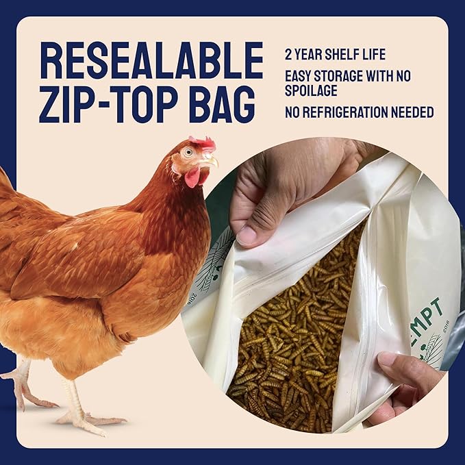 Hatortempt Chicken Feed & Treats - 10 Lb Non-GMO Bulk Larvae & Grubs - High-Protein Food for Laying Hens & Poultry - Grubs & Worms for Chickens & Bluebird Food - Calcium-Rich Supplement