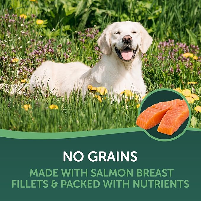 HEALTHFULS Salmon Fillet Dog Treats, 3.5oz (Pack of 2)