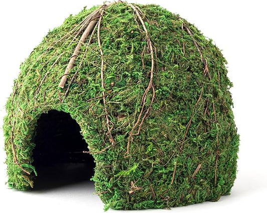 Galápagos (05368) Mossy Dome Hide - Natural Corner Cave for Reptile Enclosures, Terrariums, and Tanks, 9", Vined Green Moss