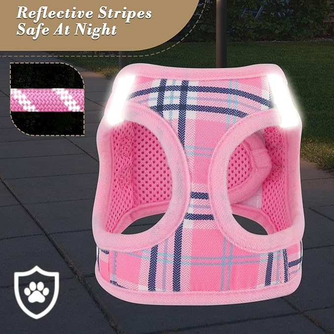 Athena Collection Small Dog Harness with 5 ft Leash, Step-in Dog Harness Leash Set Extra Small No Pull Dog Vest Harness with Reflective Strips Adjustable Velcro, Easy Walk Puppy Harness, Pink