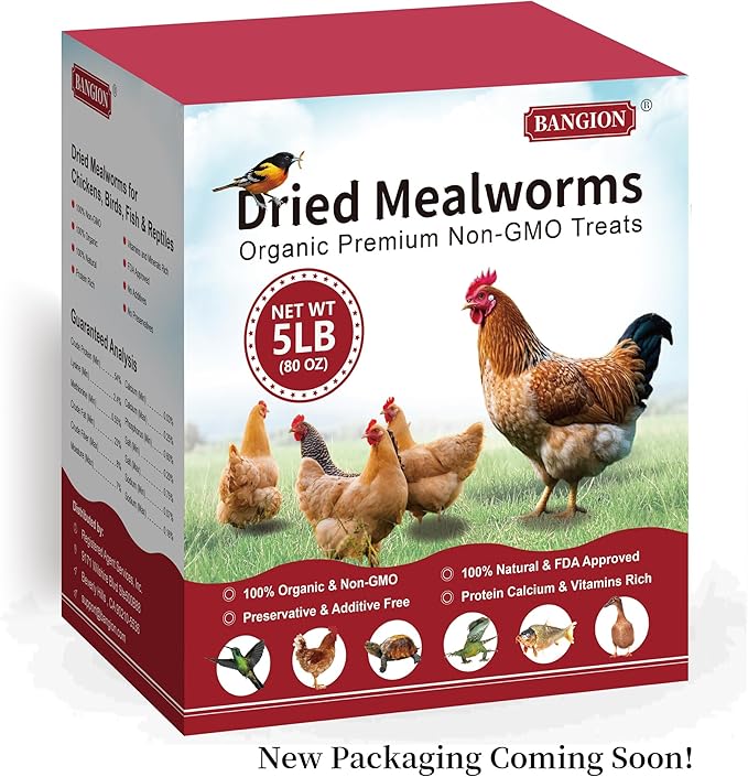 Organic Dried Mealworms for Chickens 5 LB Natural Non-GMO Mealworms High Protein Chickens Feed Meal Worms for Chicken Wild Birds Bluebirds Ducks Turtles Reptiles Laying Hens Treats & Food