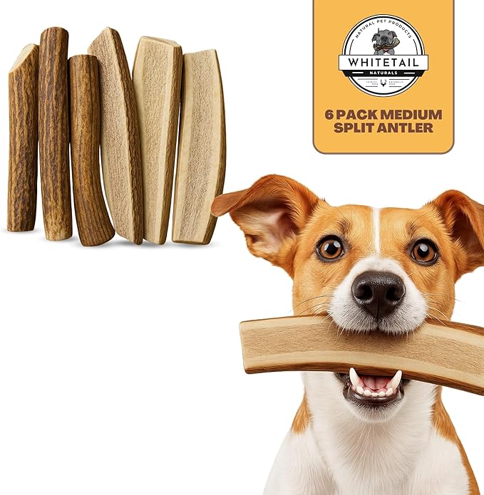 WhiteTail Naturals | Split-Cut Elk Red Deer Antlers for Dogs | (6 Pack Medium) | Cruelty Free | Naturally Shed Elk Dog Chew Bones