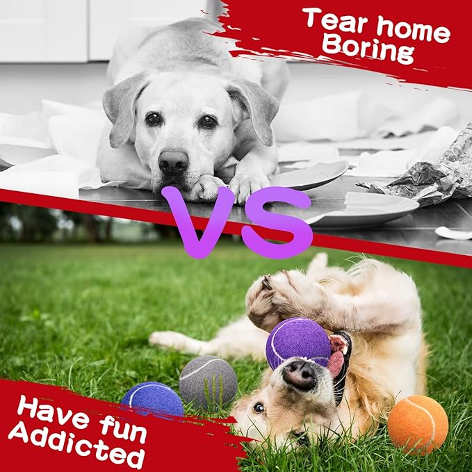 Yunsailing 30 Pcs Dog Tennis Balls Bulk 2.5 Inch Tennis Balls for Dogs Colored Mini Pet Toy Bulk for Large Medium Small Puppy Training Exercis