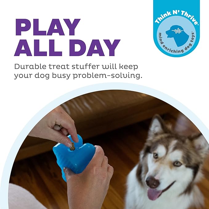 Outward Hound Gummiez Bear 2-in-1 Dental Dog Chew Toy and Dog Treat Stuffer Game, Blue Raspberry Scent, Blue