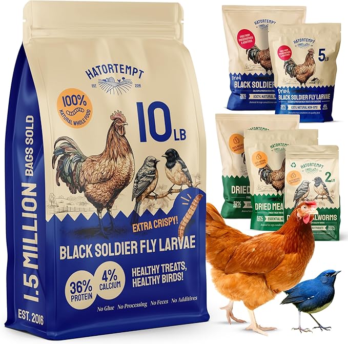 Hatortempt Chicken Feed & Treats - 10 Lb Non-GMO Bulk Larvae & Grubs - High-Protein Food for Laying Hens & Poultry - Grubs & Worms for Chickens & Bluebird Food - Calcium-Rich Supplement