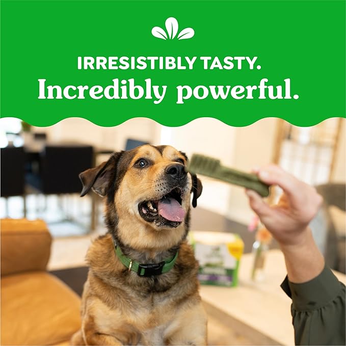 Greenies Large Dental Dog Treats, 3-Flavor Variety Pack, (3) 12 oz. Pouches, (24 Treats)