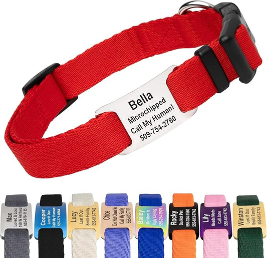GoTags Personalized Dog Collar with Nameplate, Adjustable Dog Collar with Custom Engraved Slide On Pet ID Tag in Stainless Steel, Silent, No Noise Dog Tag for Large Medium and Small (Red, Medium)