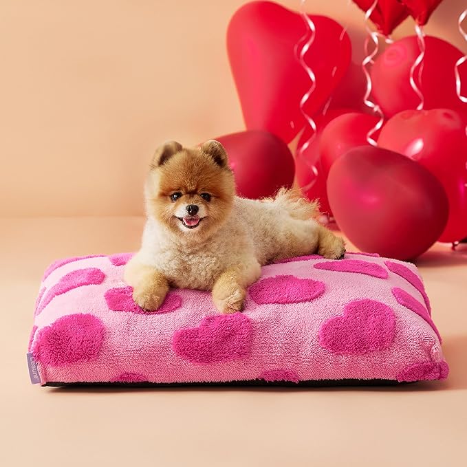 LE SURE Small Dog Beds-Thick Shredded Chopped Foam Pet Bed Indoor with Removable Cover, Cute Modern Fuzzy Plush & Anti Slip Bottom, Pink