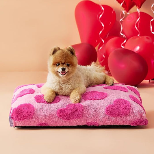 LE SURE Small Dog Beds-Thick Shredded Chopped Foam Pet Bed Indoor with Removable Cover, Cute Modern Fuzzy Plush & Anti Slip Bottom, Pink