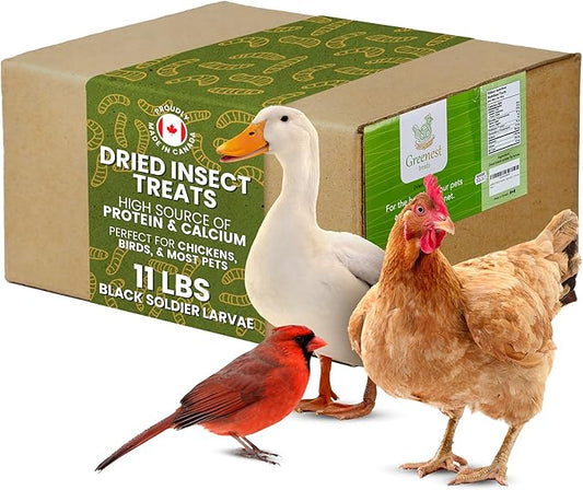 Dried Black Soldier Fly Larvae Chicken Bulk - for Hens, Duck, Wild Birds, Lizard, Tortoise, Fish - All Natural High Protein Dried Mealworms Alternative - Made in North America