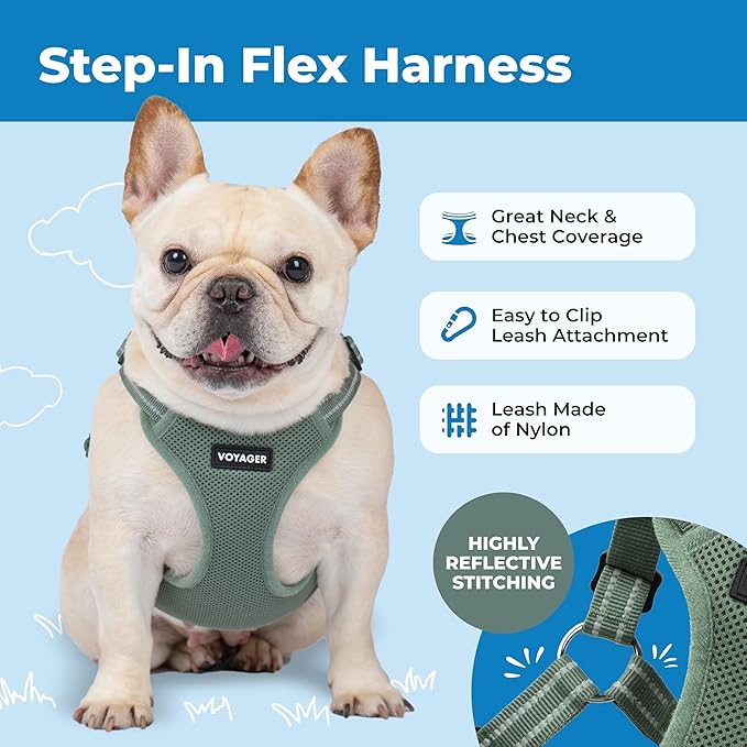 Best Pet Supplies Voyager Mesh Dog Breathable Harness Reflective Stitching, All Weather Adjustable for Walking Training, or Running - Heavy Duty & Durable, Moss Green, M