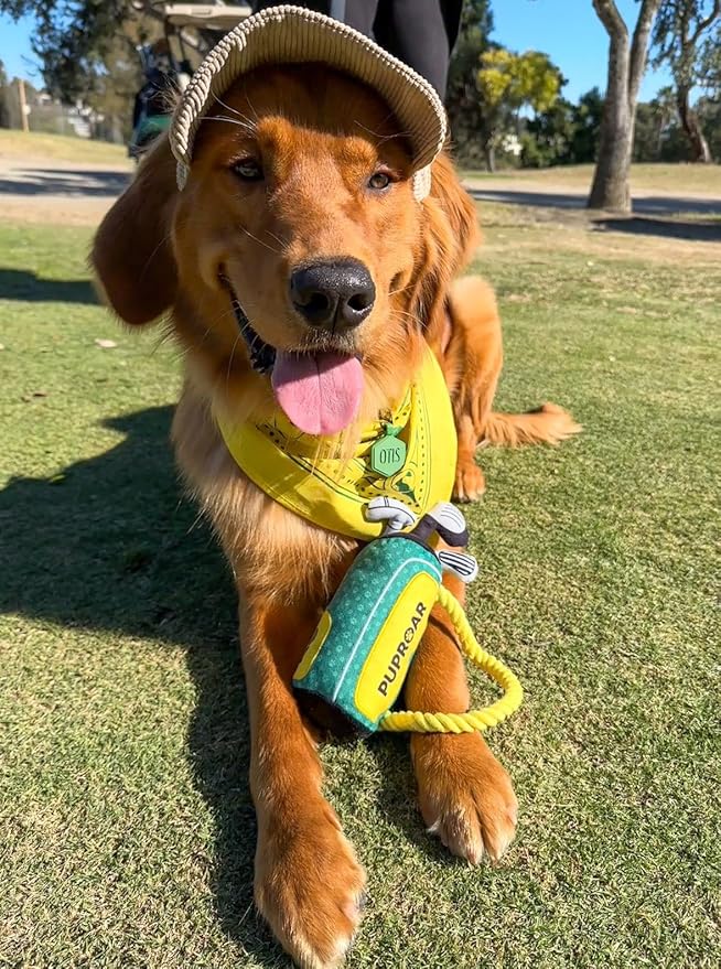 Golf Dog Toy – Funny Dog Christmas & Birthday Gift with Squeaker Rope & Crinkle, Fun & Interactive Puppy Present & Stocking Stuffer