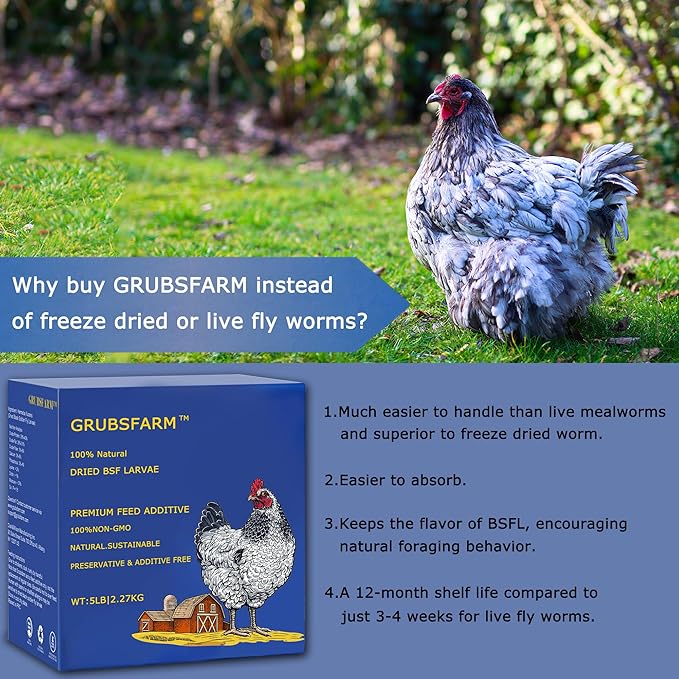 Premium Chicken Treats 5LB - Non-GMO & 85X More Calcium Than Meal Worms - Molting & Laying Supplement - BSF Larvae Treats for Layer Hens, Ducks Wild Birds
