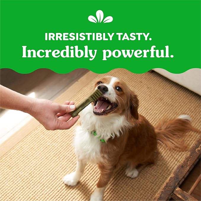 Greenies Original Petite Dental Dog Treats, 12 oz. Pack (20 Treats)