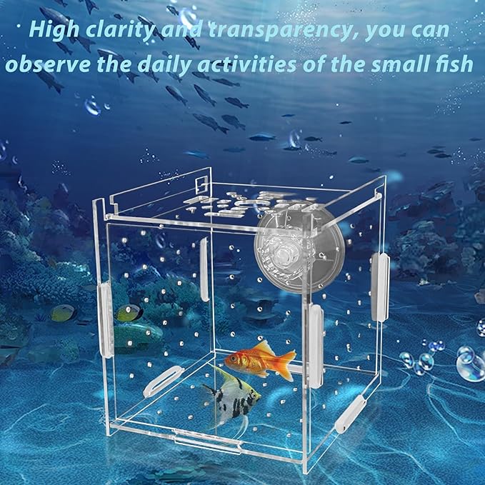 PINVNBY Acrylic Fish Breeding Box，Guppy breeding Box Acrylic Fish Isolation Box Aquarium Incubator with Suction Cups for Guppy Shrimp Small Baby Fishes（3.9 x 3.9 x 3.9 inches）