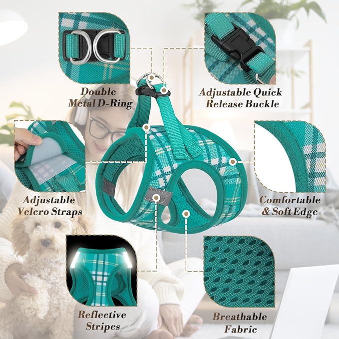 Athena Collection Small Dog Harness with 5 ft Leash, Step-in Dog Harness Leash Set Extra Small No Pull Dog Vest Harness with Reflective Strips Adjustable Velcro, Easy Walk Puppy Harness, Green