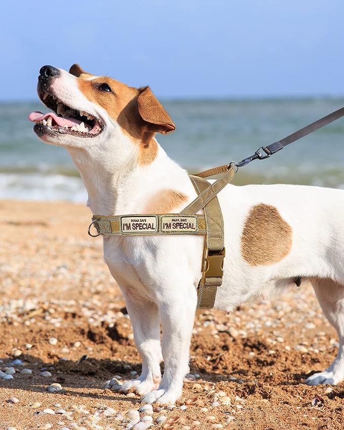 No Pull Dog Harness Brown for Small Medium Large Sized Dogs, Reflective Escape Proof Adjustable Dog Harnesses with 2 Patch, S