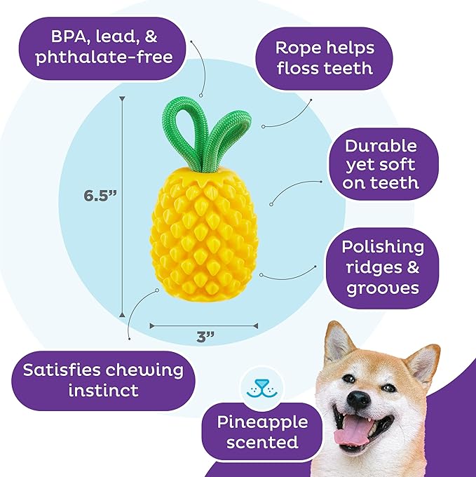 Outward Hound by Planet Dog Dental Pineapple Dental Chew Toy and Interactive Treat Stuffer Durable Dog Toy Stuffable Dog Toy, Yellow