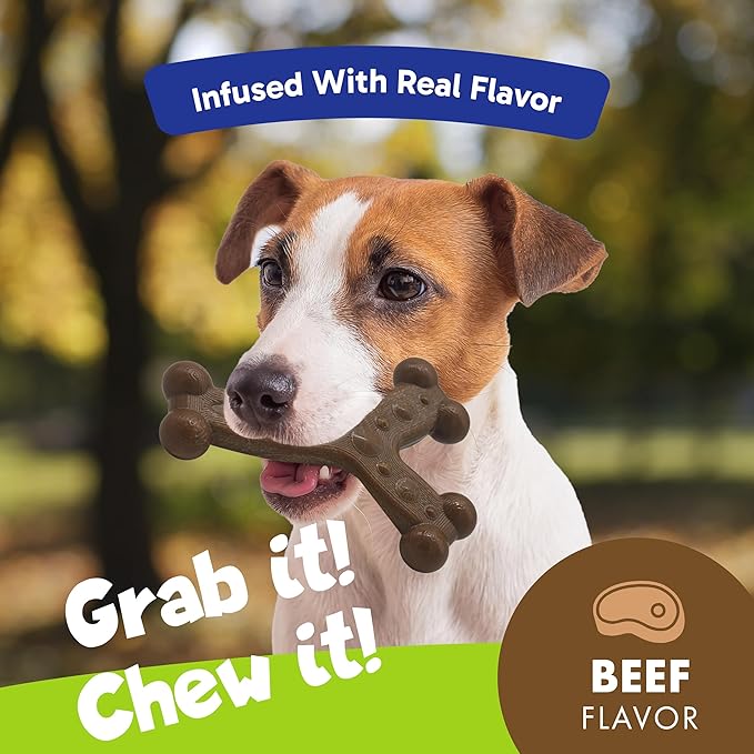 Chew'ems Durable Chew Toys for Small Dogs, Long-Lasting & Flavorful Chew Dog Toys, Small Dog Breeds | Beef-Flavored (Pack of 2)