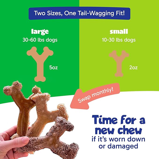 Chew'ems Durable Chewy Dog Toys | Long-Lasting & Flavorful Chew Dog Toys, Large Dog Breeds | Large Dogs, Salmon-Flavored (Pack of 2)