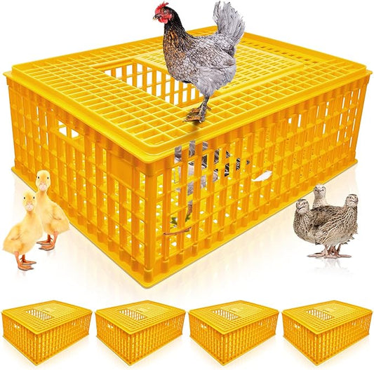 Sintuff 2-Piece Poultry Carrier - Plastic Chicken Transport Cage, 29.5 x 21.7 x 11.6 Inch
