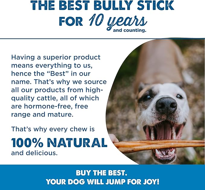 Best Bully Sticks Jumbo Bully Sticks - 12 Inch, 25 Count (Pack of 1) - Natural, Grass-Fed Beef, Single Ingredient, Grain-Free, Rawhide Alternative, Dog Treats for Large Dogs