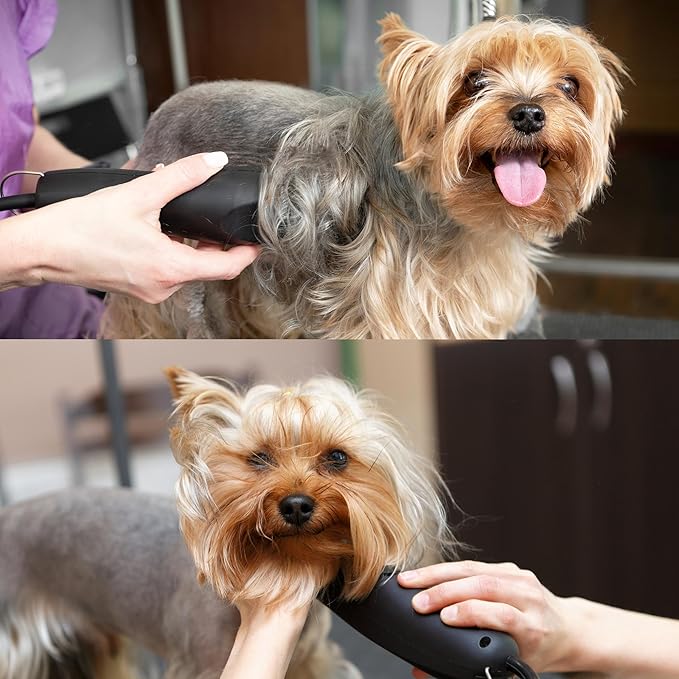 Detachable A Series 30 Blades for Dog Grooming Cuts Hair 1/50" - 0.5mm Japanese High Carbon Steel Dog Grooming Blade (Compatible A5 Series Clippers for Dogs Cat(B30)