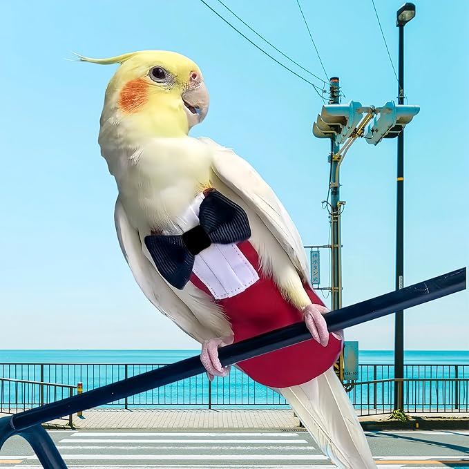 Bird Diapers Bird Harness Tuxedo Flight Suits with 80in Flying Leash Parrot Nappy with Waterproof Inner Layer Urine Wet Suite for Cockatiel Conure Parakeet Macaw Budgie-Red,M