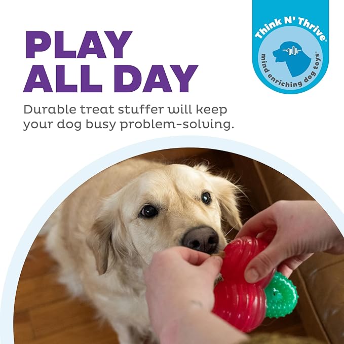 Outward Hound Gummiez Cherries 2-in-1 Dental Dog Chew Toy and Dog Treat Stuffer Game, Cherry Scent, Red