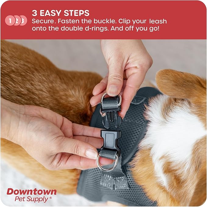 Downtown Pet Supply Step in Dog Harness for Small Dogs No Pull, Small, Titanium - Adjustable Harness with Padded Mesh Fabric and Reflective Trim - Buckle Strap Harness for Dogs