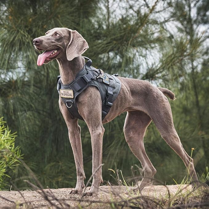 OneTigris Tactical Dog Harness Vest,No-Pull Service Dog Vest with Hook & Loop Panels,Adjustable Dog Vest Harness for Walking Hiking Training(Grey,XS)