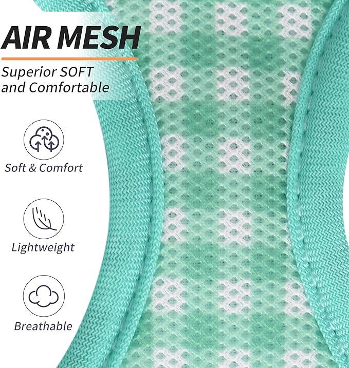 AIITLE Easy Walk Dog Vest Harness and Leash Set, Pet Supply No Pull, Breathable Mesh, Reflective Stripes, Adjustable Escape Proof Pet Outdoor Harnesses for Medium Dogs Turquoise L