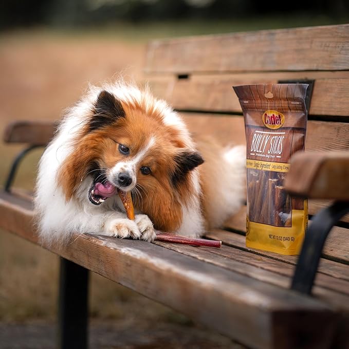 Cadet Bully Sticks for Small Dogs – All-Natural Beef Pizzle, High Protein, Low Fat, Long-Lasting, Grain & Rawhide-Free Dog Chews for Aggressive Chewers, Small (6 Ounce)