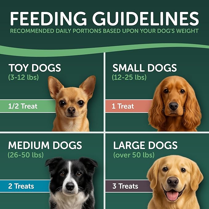 Healthfuls Salmon Fillet Dog Treats, 3.5oz