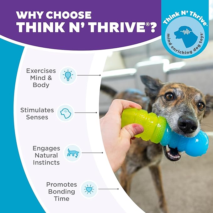 Outward Hound Gummiez Worm 2-in-1 Dental Dog Chew Toy and Dog Treat Stuffer Game, Cherry Scent, Multicolored