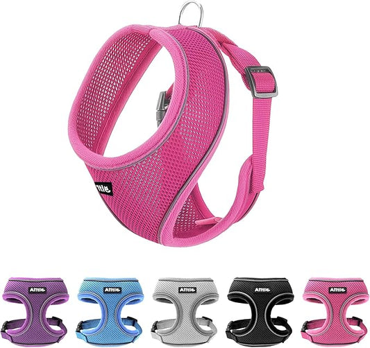 AIITLE Medium Girl Dog Harness, Comfortable Adjustable Mesh Vest with Quick-Release Buckle, Reflective Safety Strips – Perfect for Poodles, Teddy Dogs (M, Hot Pink)