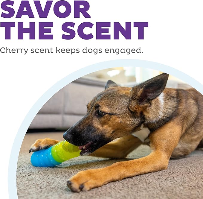Outward Hound Gummiez Worm 2-in-1 Dental Dog Chew Toy and Dog Treat Stuffer Game, Cherry Scent, Multicolored