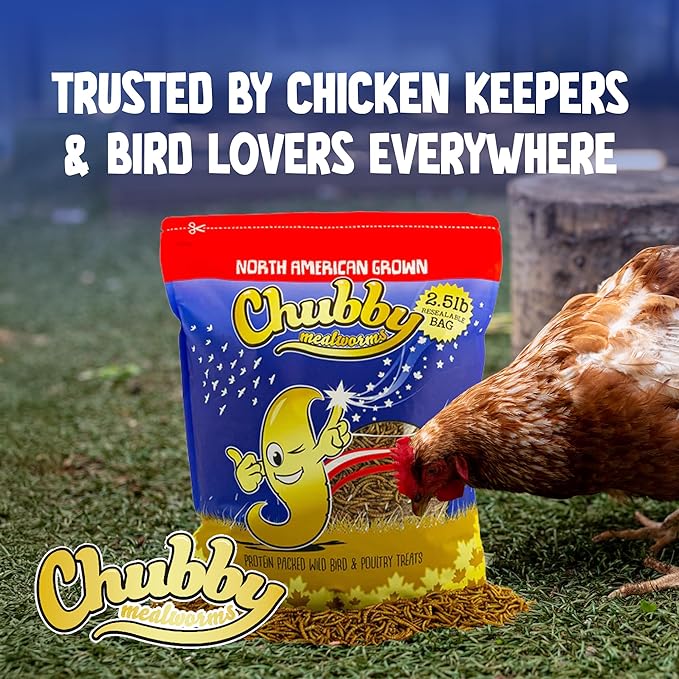 30Lbs Recyclable Box of Chubby North American Grown Dried Mealworms (Non-GMO) - Chicken/Duck Treats