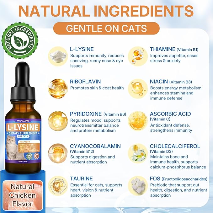 L-lysine Supplement for Cats, Immune Support for Cats, Support for Feline Respiratory, Sneezing, Runny Nose, Eye Function, Helps Strengthen Natural Defenses, Chicken Flavor, 60 ml/2 Fl Oz