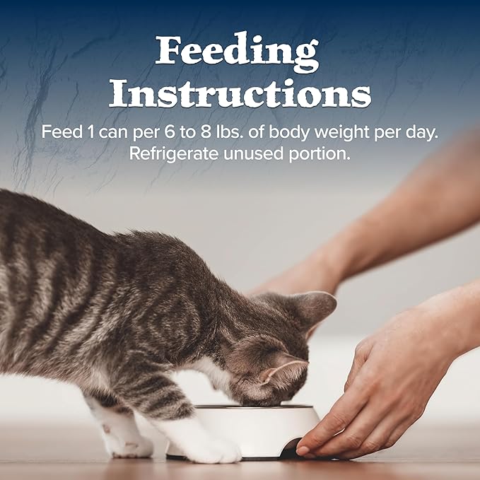 Blue Buffalo Wilderness Rocky Mountain Recipe Natural High Protein Wet Food for Adult Cats, Trout in Tasty Gravy, 5.5-oz cans, Pack of 24