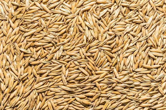 Thunder Acres Non GMO, Certified Organic, Oat Seed (2 lb.)