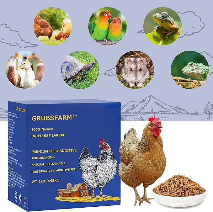 Premium Chicken Treats 1LB - Non-GMO & 85X More Calcium Than Meal Worms - Molting & Laying Supplement - BSF Larvae Treats for Layer Hens, Ducks Wild Birds
