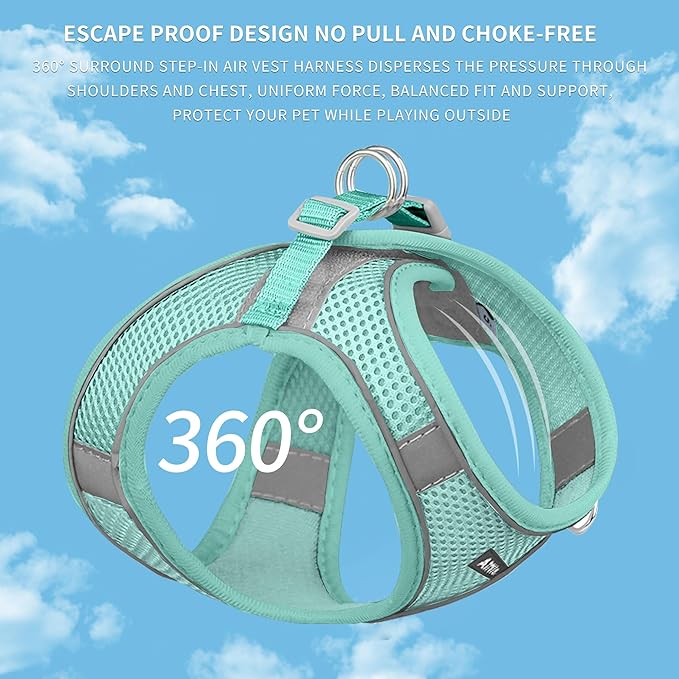 AIITLE Comfortable Dog Harness and Leash Set for Walking - Summer Step in Vest Harness,Reflective Bands, Adjustable No Pull Puppy Essentials, for Small Dogs and House Cats Pure Turquoise XS