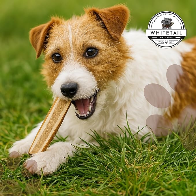 WhiteTail Naturals | Split-Cut Elk Red Deer Antlers for Dogs | (6 Pack Medium) | Cruelty Free | Naturally Shed Elk Dog Chew Bones