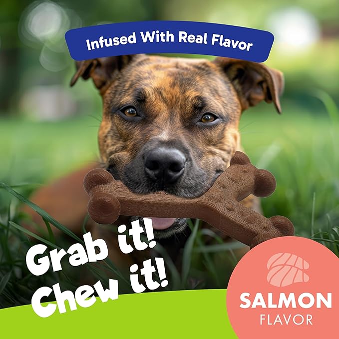 Chew'ems Durable Chewy Dog Toys | Long-Lasting & Flavorful Chew Dog Toys, Large Dog Breeds | Large Dogs, Salmon-Flavored (Pack of 2)